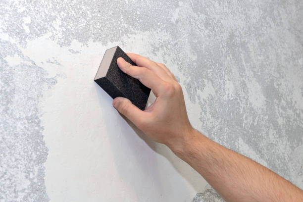 Best HVAC Mold Inspection and Cleaning  in Ruidoso Downs, NM