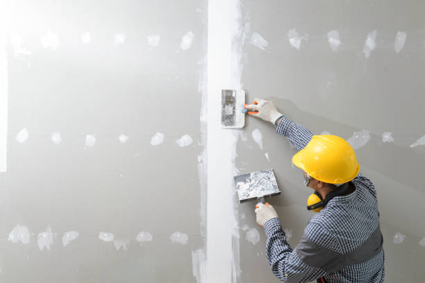  Ruidoso Downs, NM Mold Removal Pros