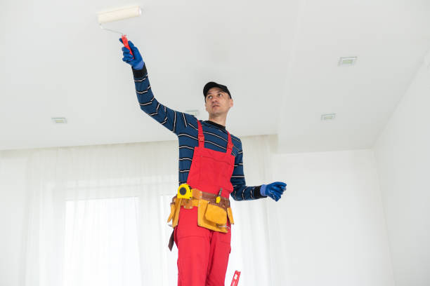 Best Biohazard Mold Removal  in Ruidoso Downs, NM