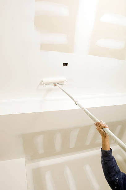 Best Industrial Mold Remediation  in Ruidoso Downs, NM