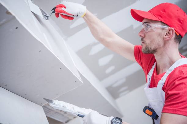 Best Black Mold Removal  in Ruidoso Downs, NM